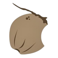 Oesaka Core
